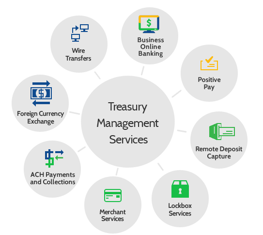 Treasury Risk Management BIZENIUS